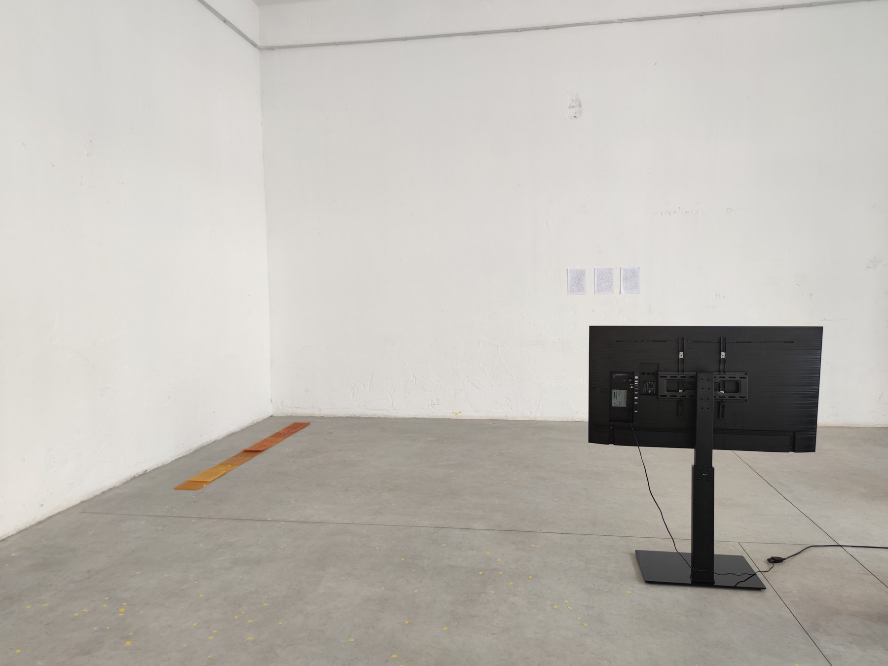 以纯粹之物的声音展览现场照片六